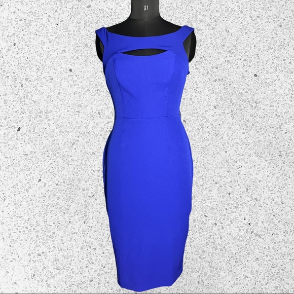 NWT DOROTHY PERKINS dress